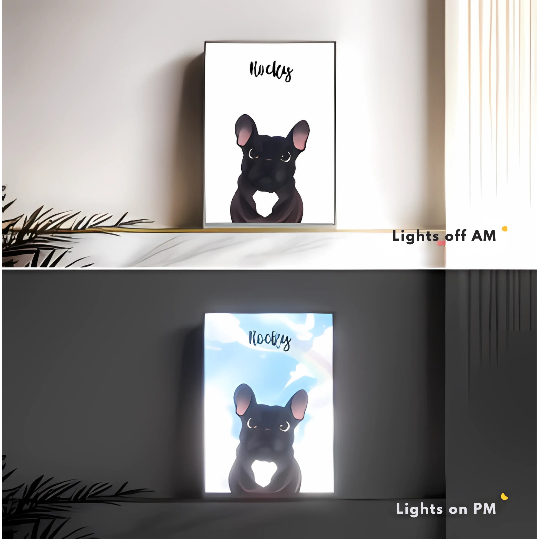 LED Pet Display- Custom Made